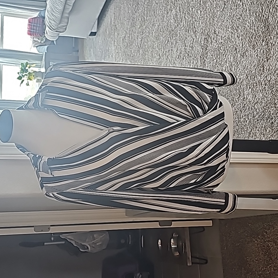 Dressbarn Dressy Top